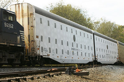 Auto Rack with custom hinges by Marlboro Manufacturing